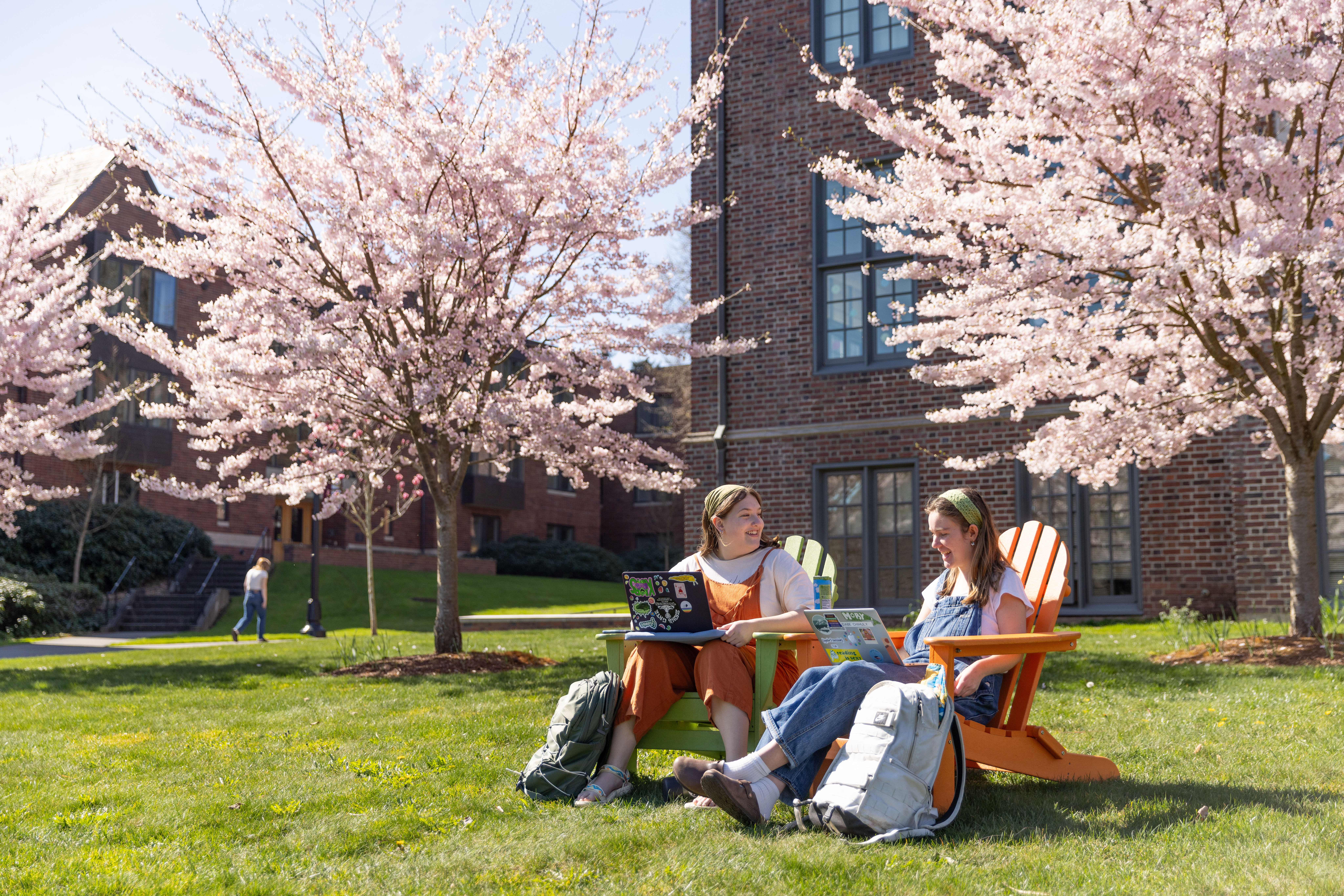 Two students sit in Adirondack chairs chatting near the blossoming cherry trees on campus.