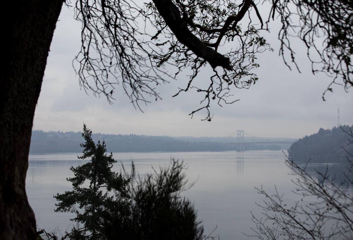 View of the Puget Sound through trees.