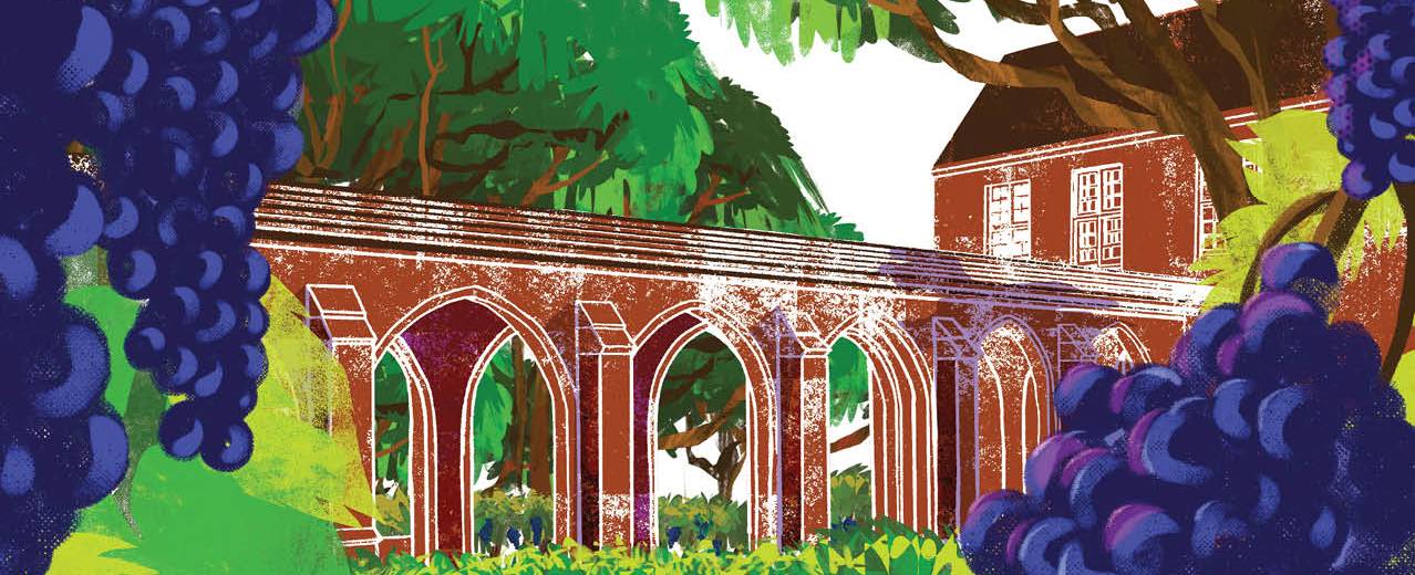 Crop of the Spring 2025 Arches cover