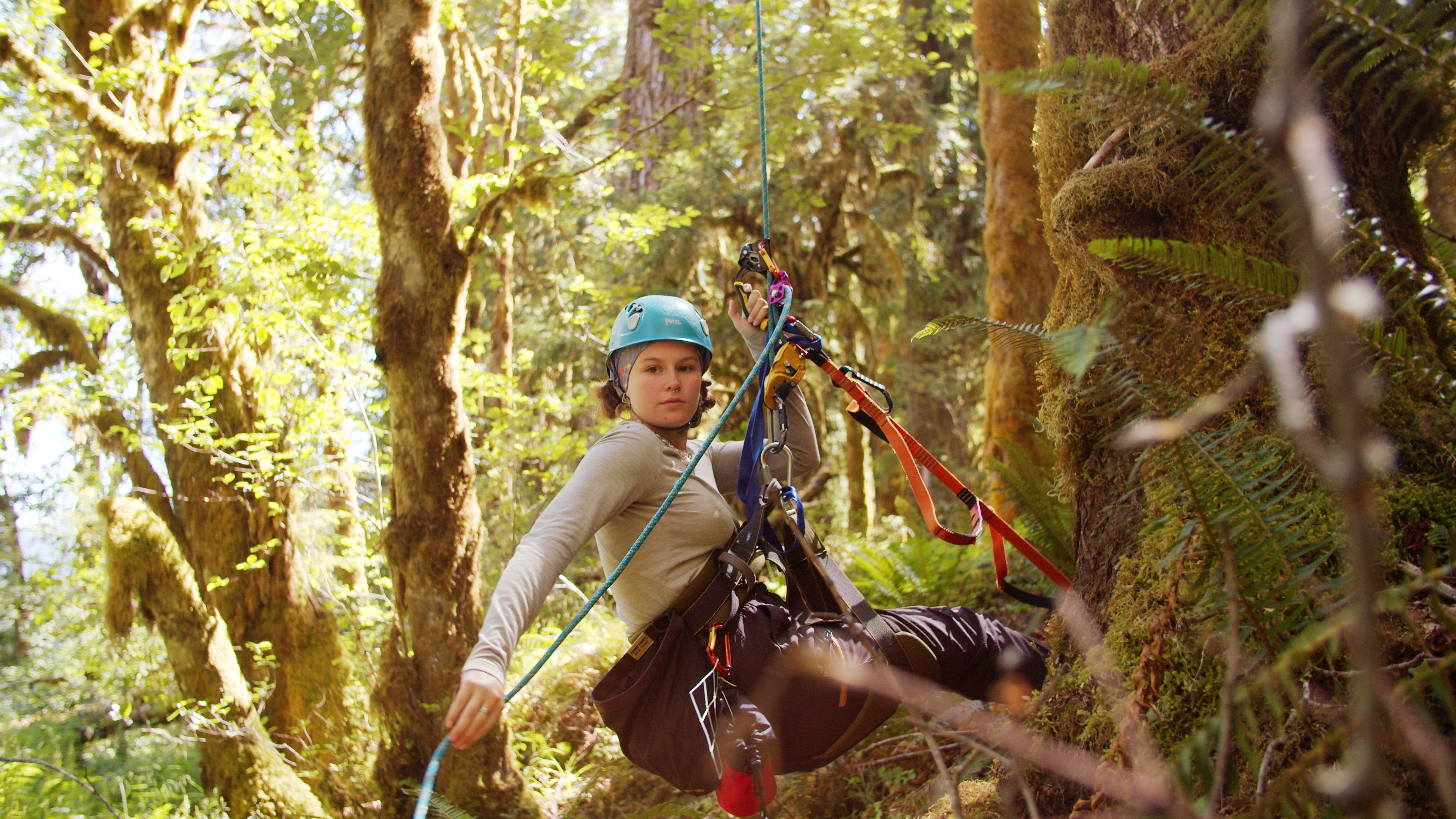 A student does research in the tree canopy.