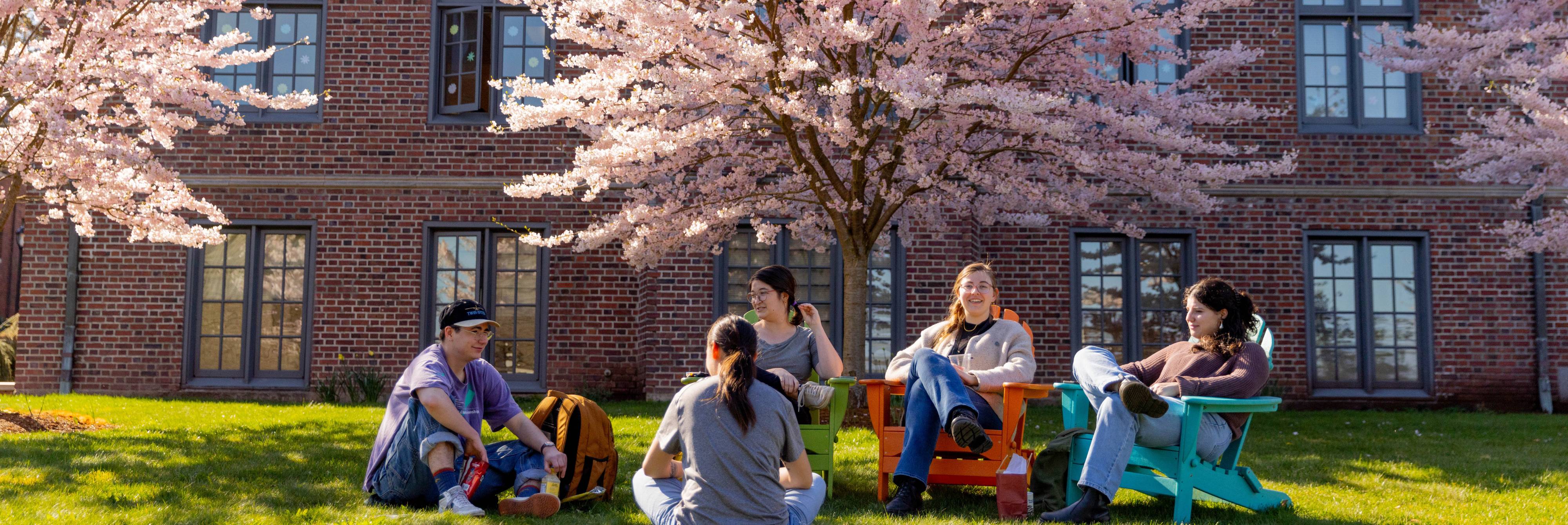 Students gathered near the cherry trees on campus, some in brightly colored Adirondack chairs.