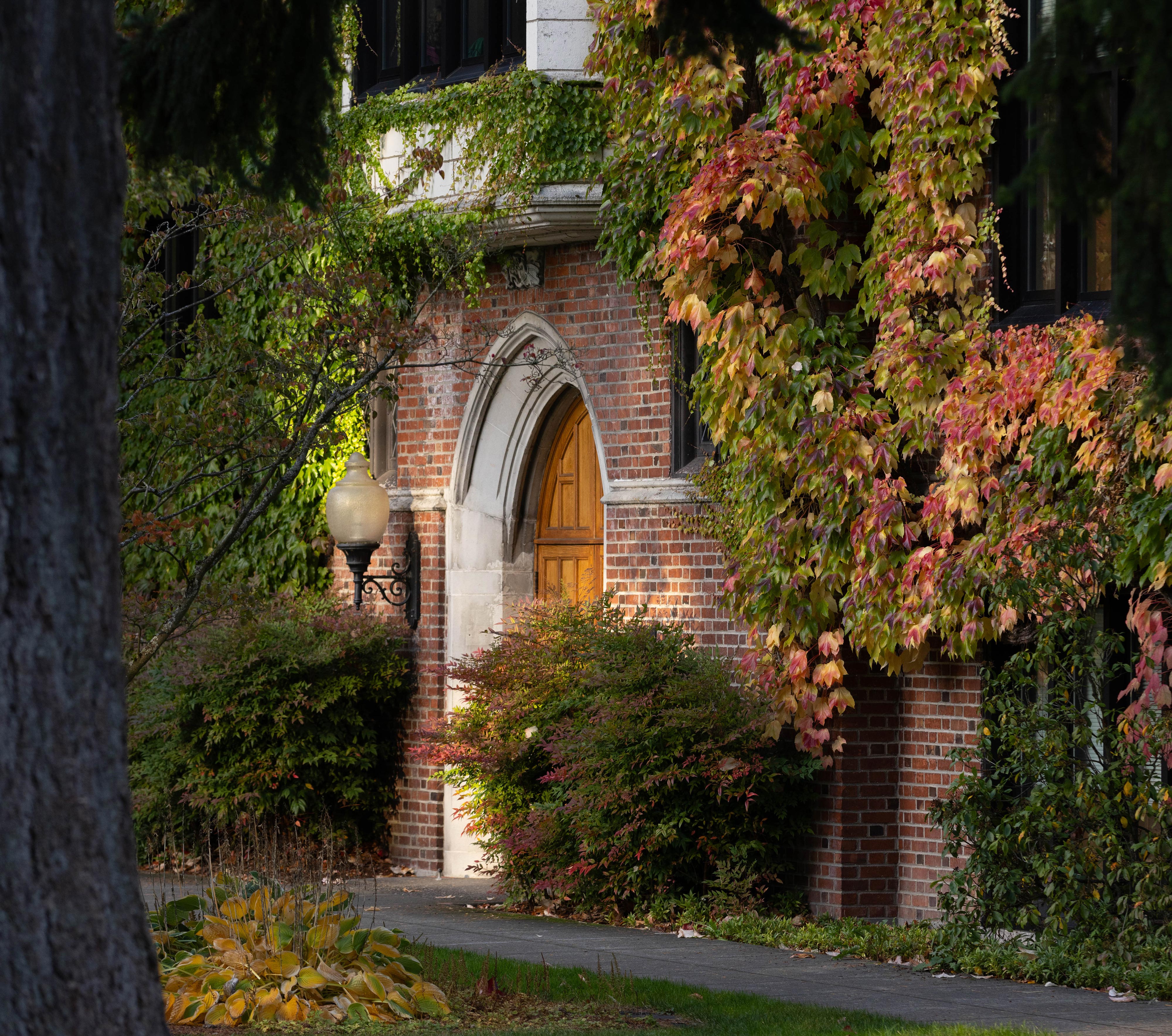 Campus building with fall foliage