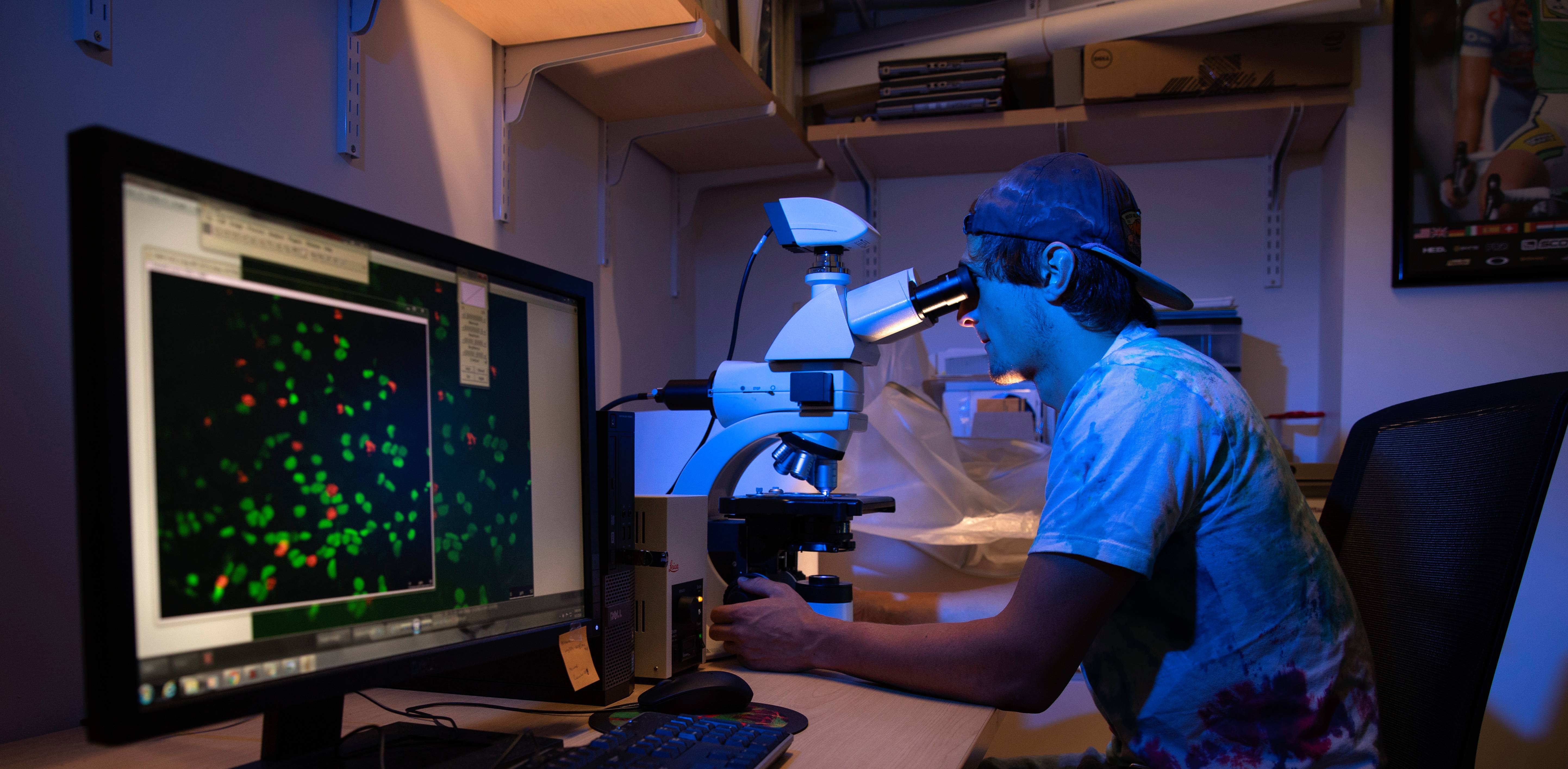 A student conducts summer research