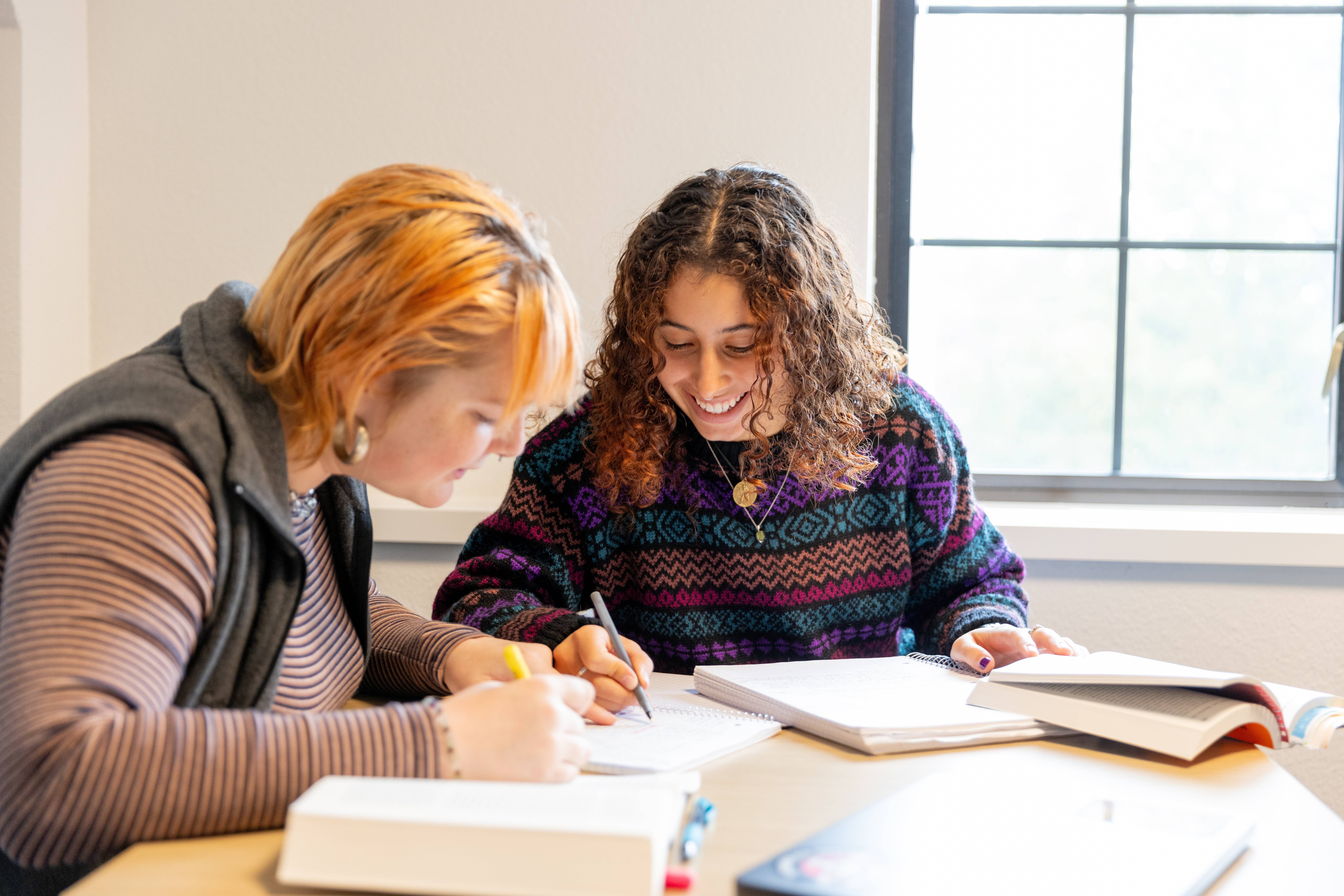Two students collaborate in class.
