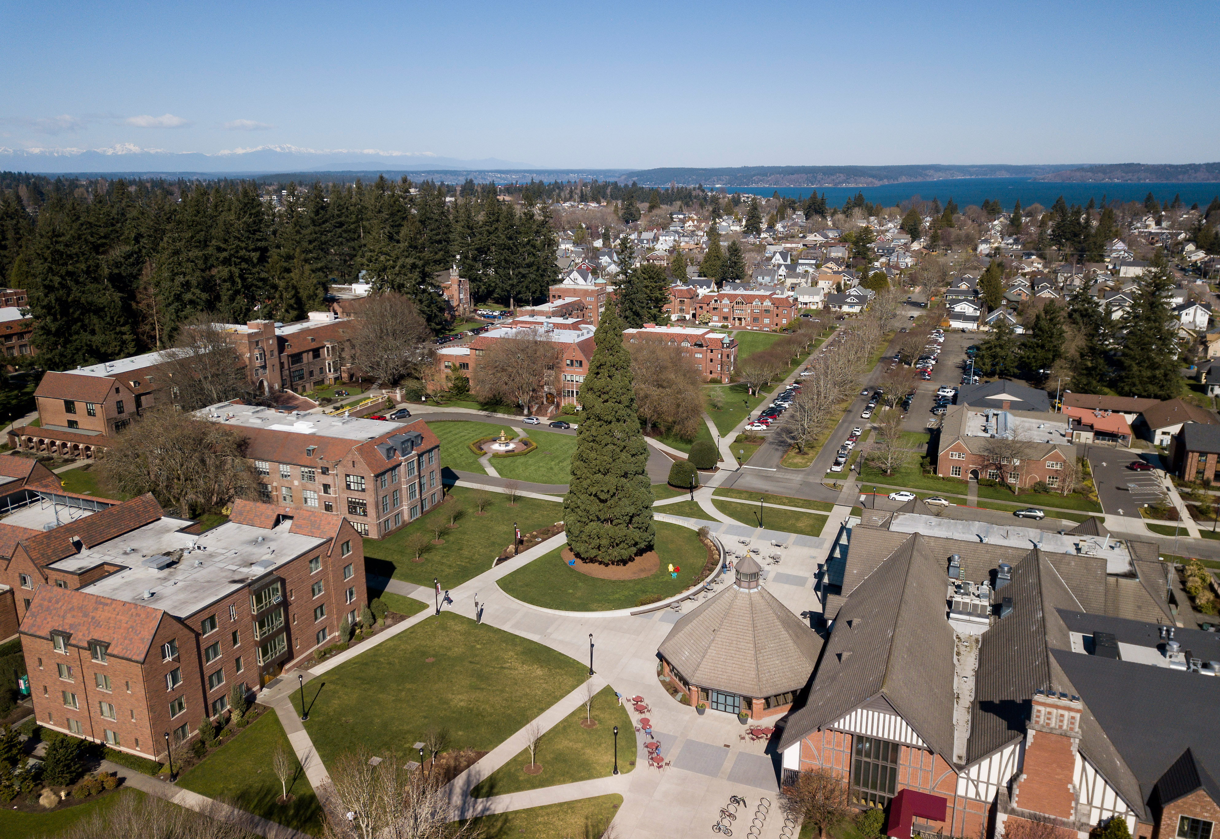 The Sequoia in the heart of the University of Puget Sound's campus, as seen by drone, Wednesday, March 9, 2022.