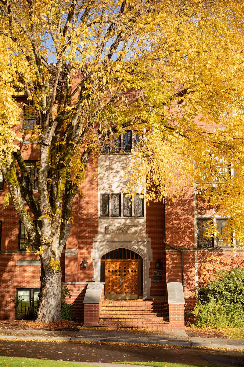 Yellow leaves hang off a branch with a red brick building in the background.