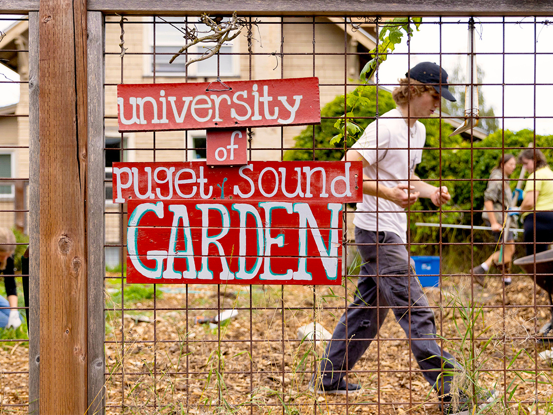 Picture of students working in a garden with a sign that says "University of Puget Sound Garden."