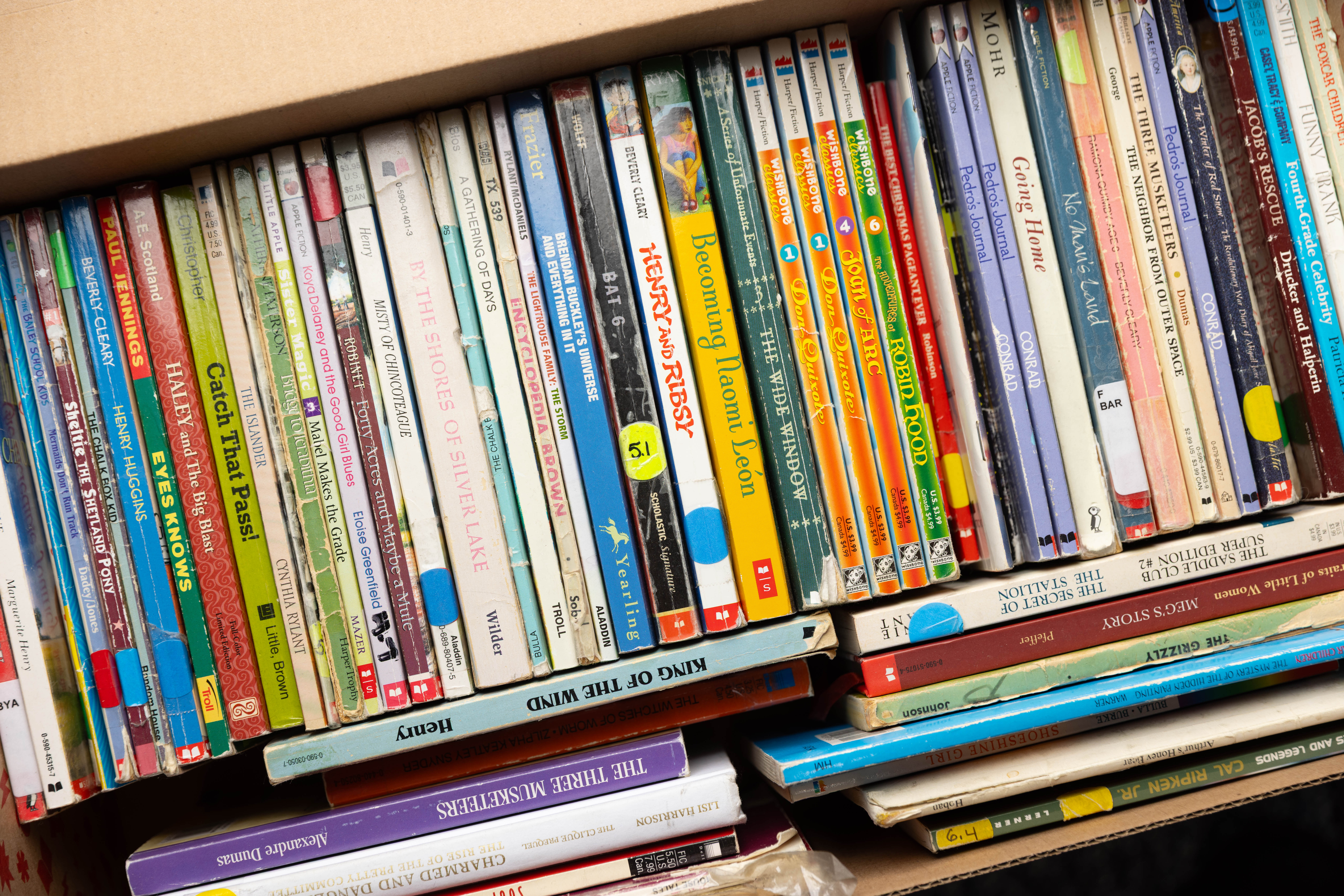 A box of children's books in Abi Longbottom's garage.