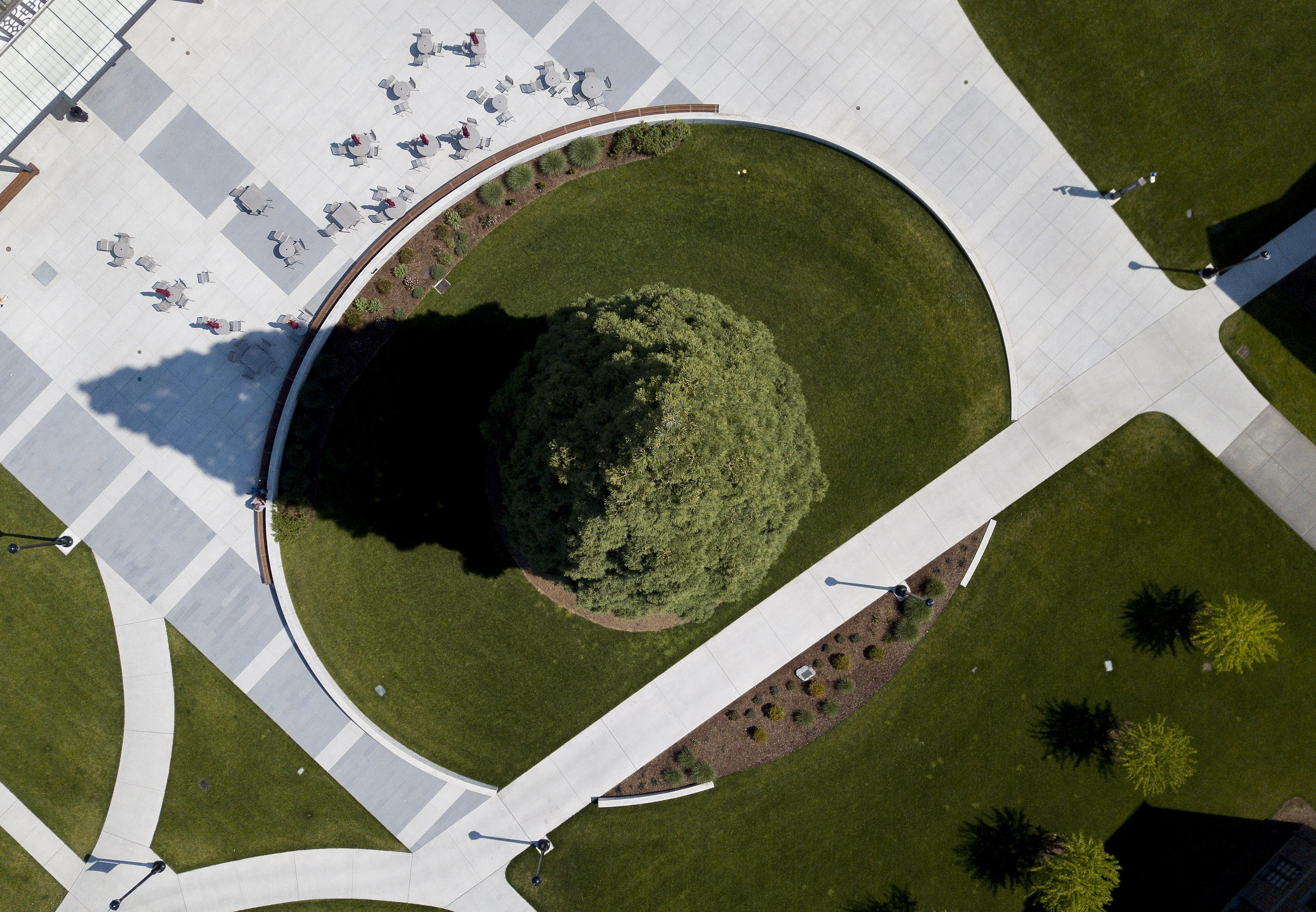 Aerial view looking down on the sequoia near Wheelock Student Center