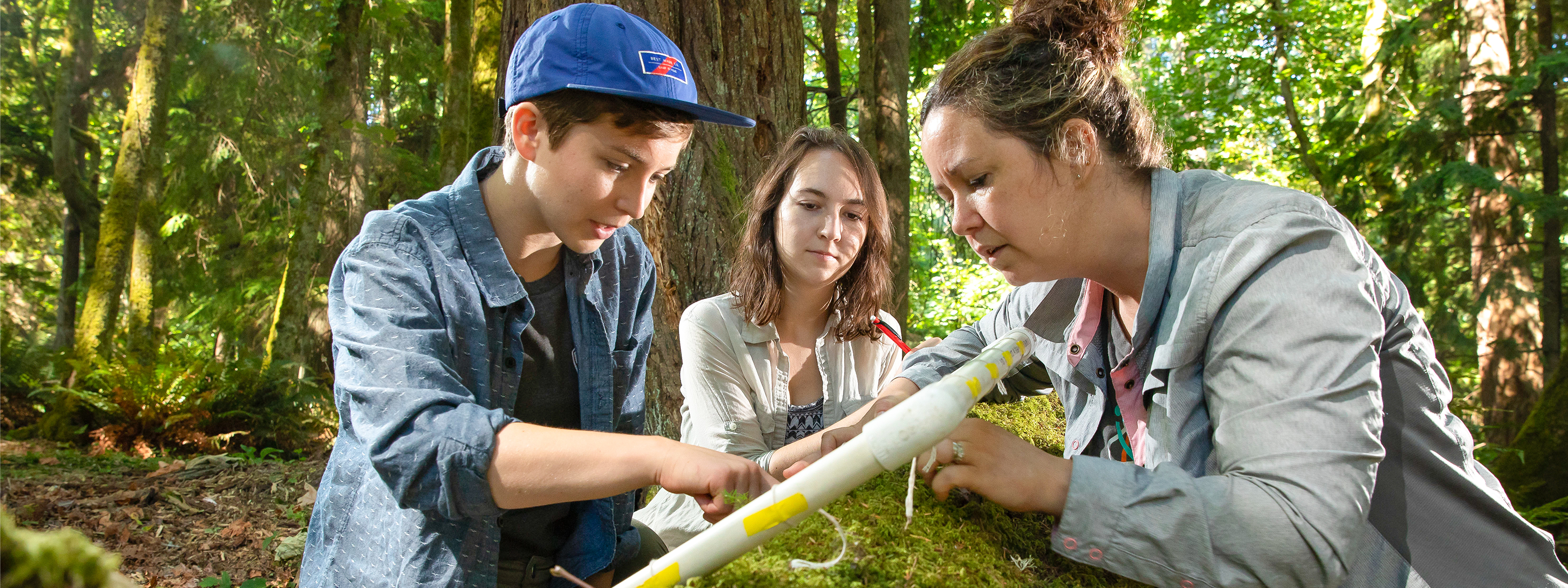 Students and professor working outdoors in a forest