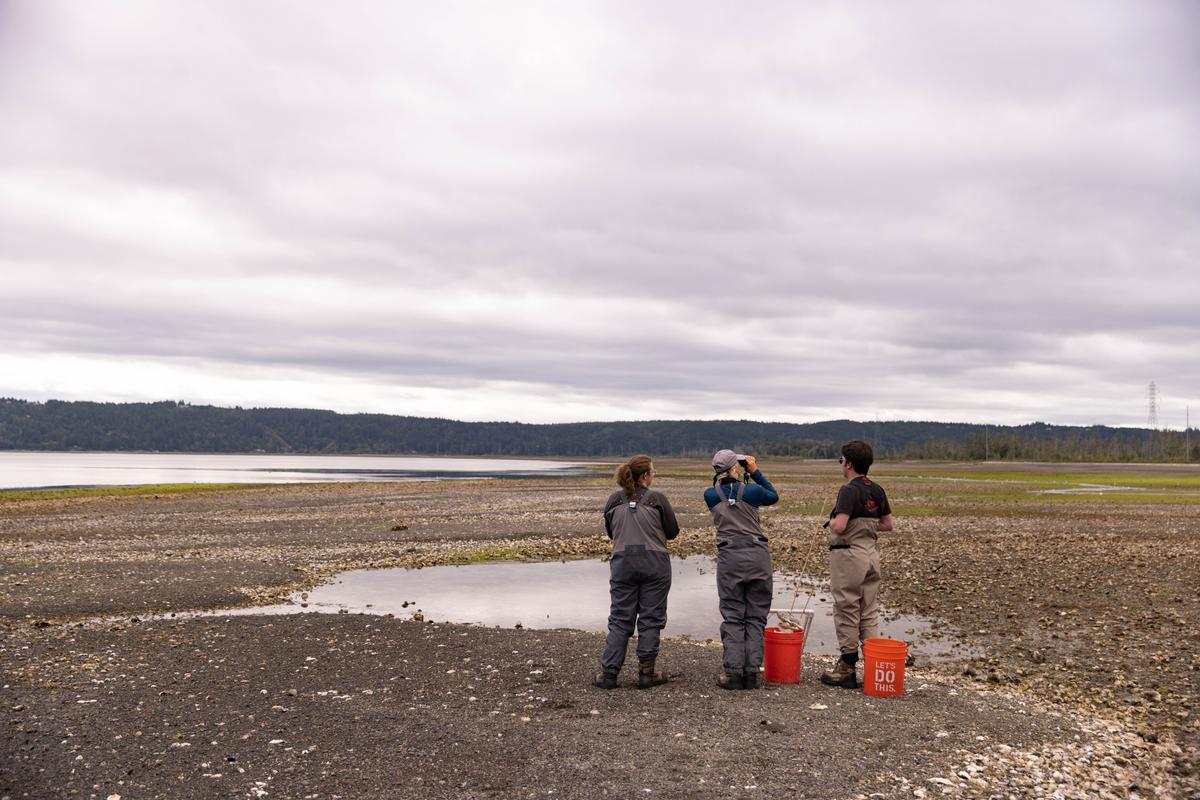 Three people stand at low tide looking toward the Puget Sound