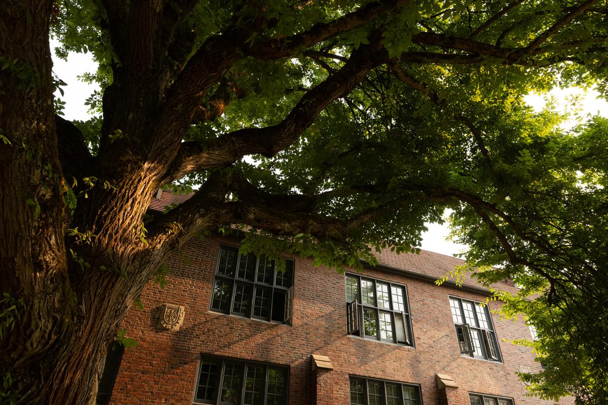 Red brick building with a large tree beside it. 