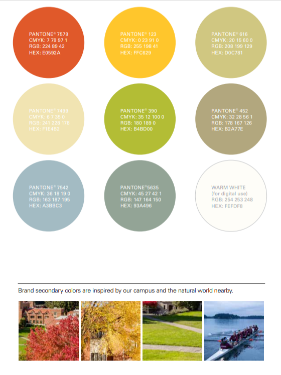 Puget Sound secondary color palette