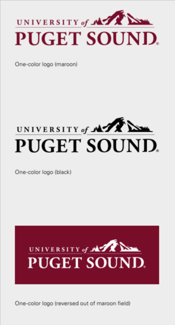 Secondary logo allowed colors