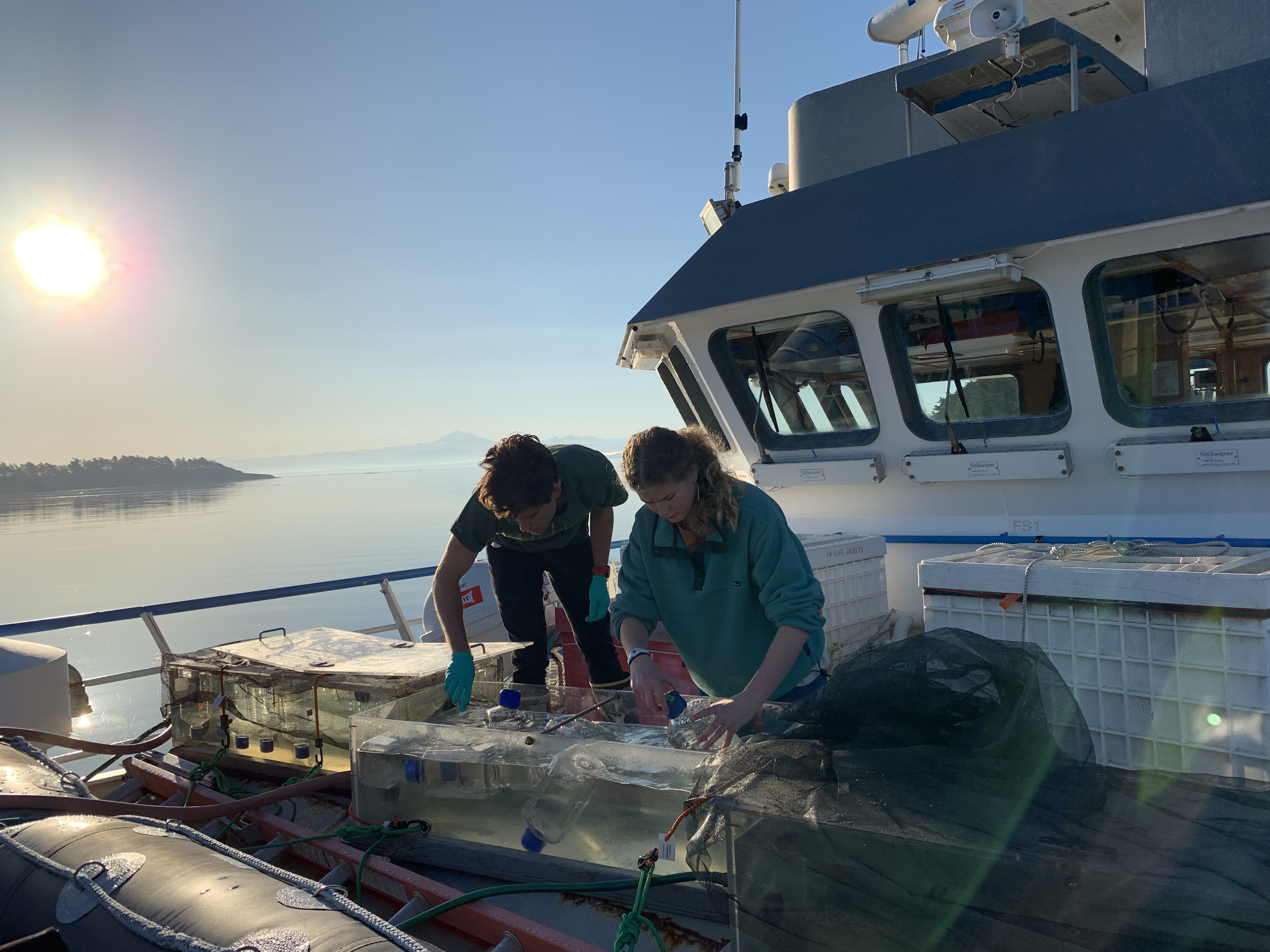 Students aboard the research vessel Rachel Carson