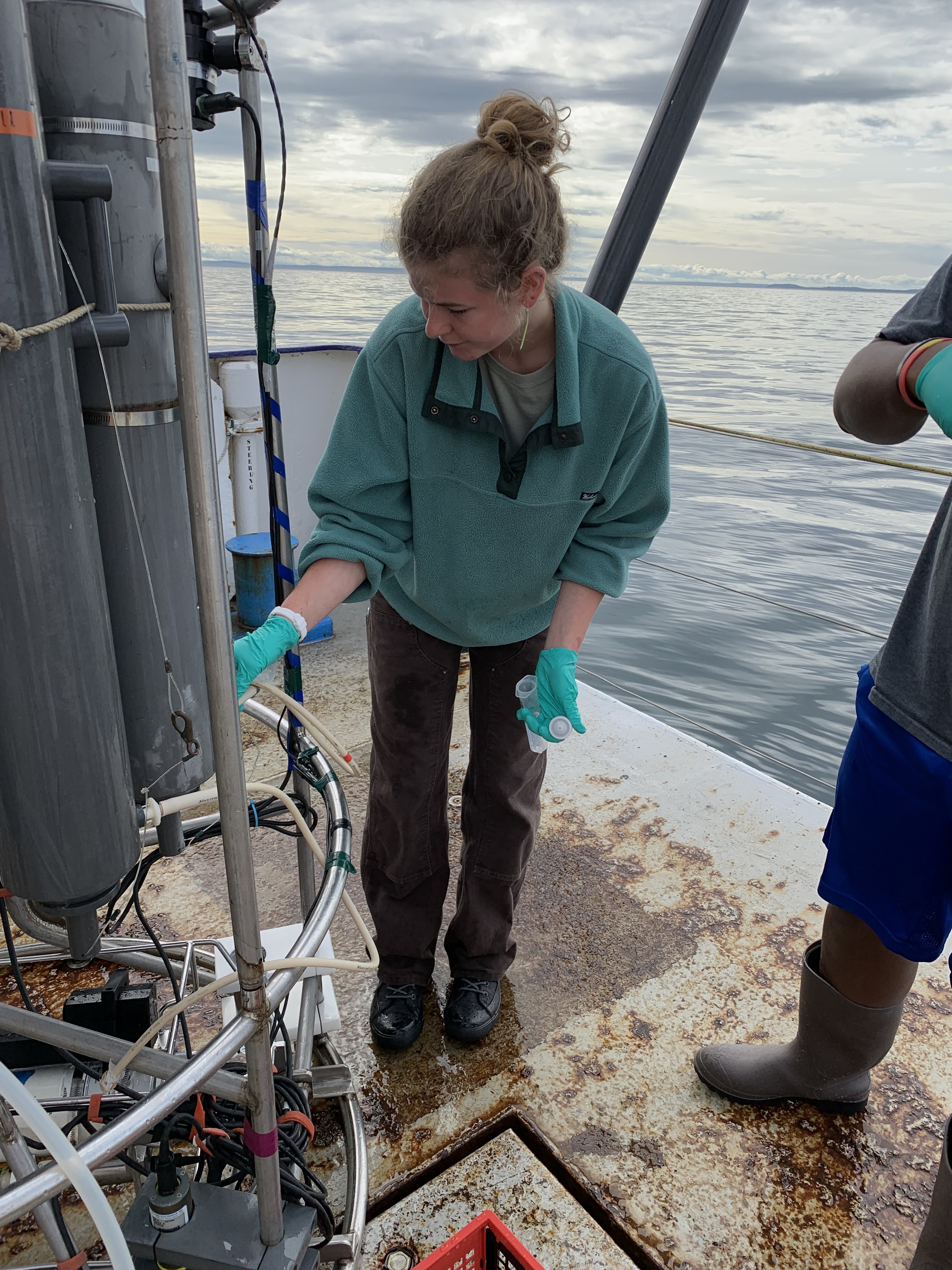 Claudia Luthy ’24 retrieves samples from a CTD rosette aboard the Rachel Carson
