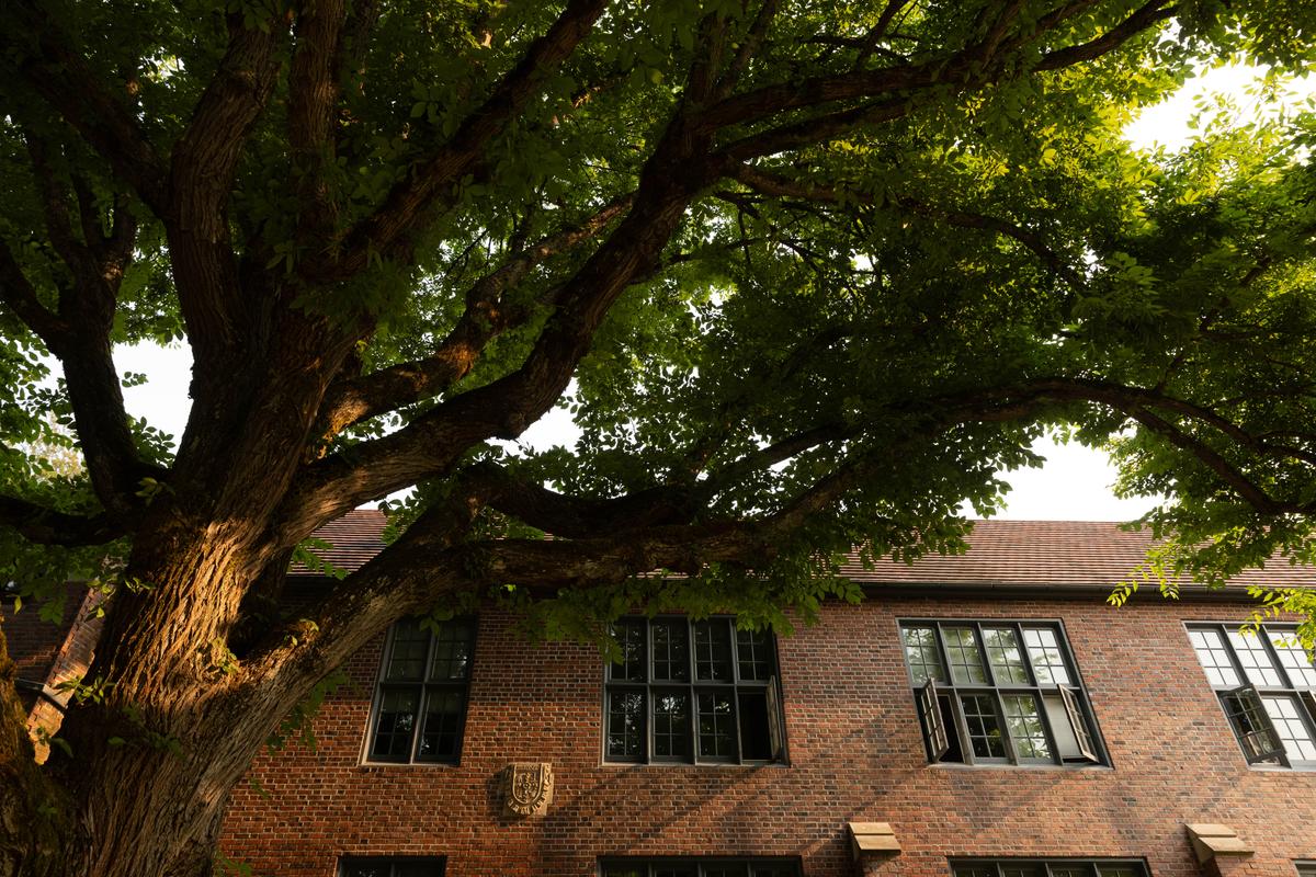 Red brick building with tree in the foreground.