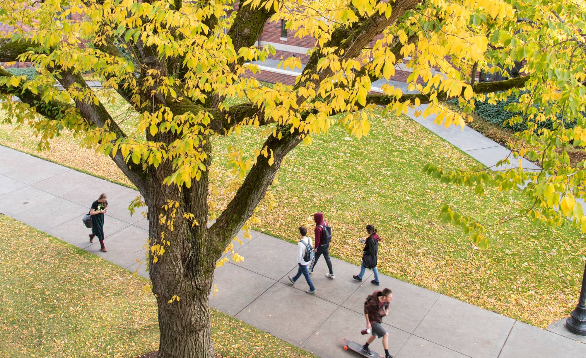 Students walking on campus.