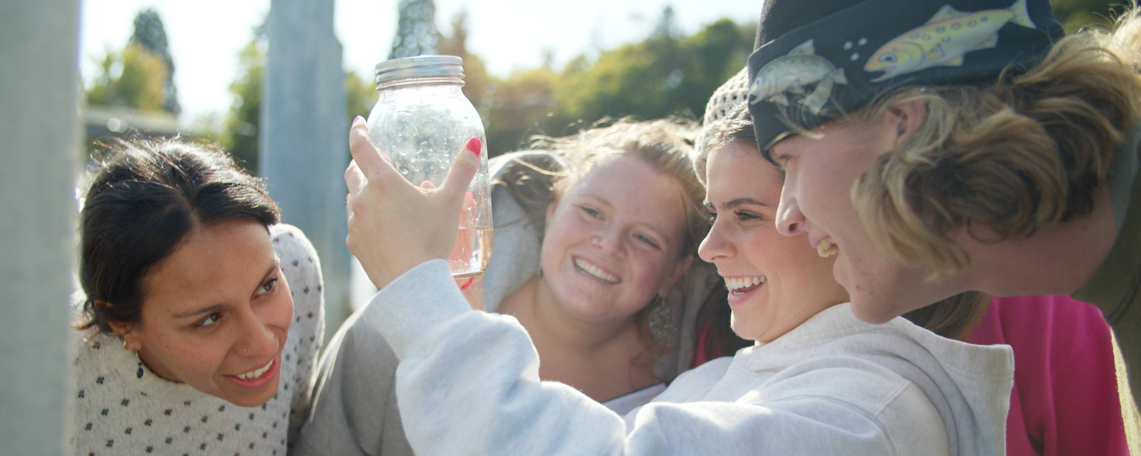 Students examine specimens in the field.