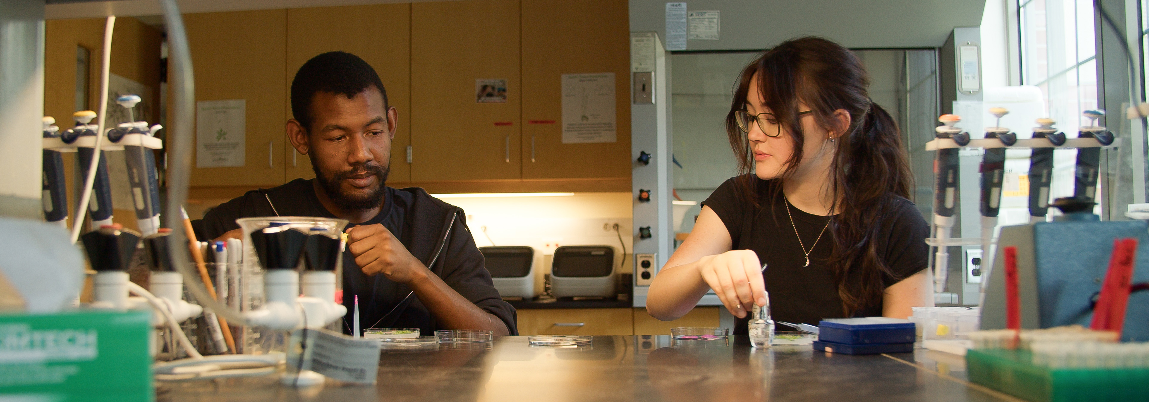 Students at work in a research lab