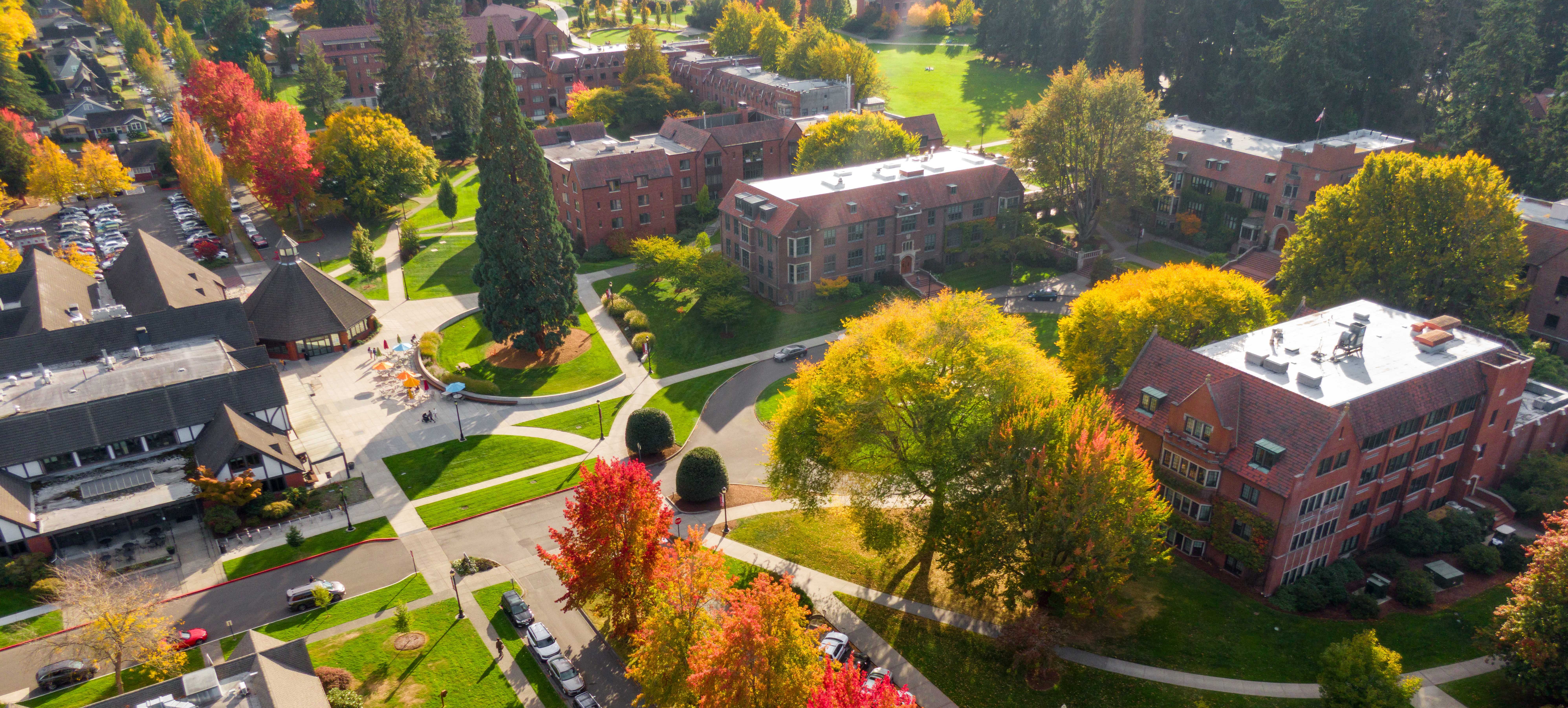Fall leaves on campus as seen from above