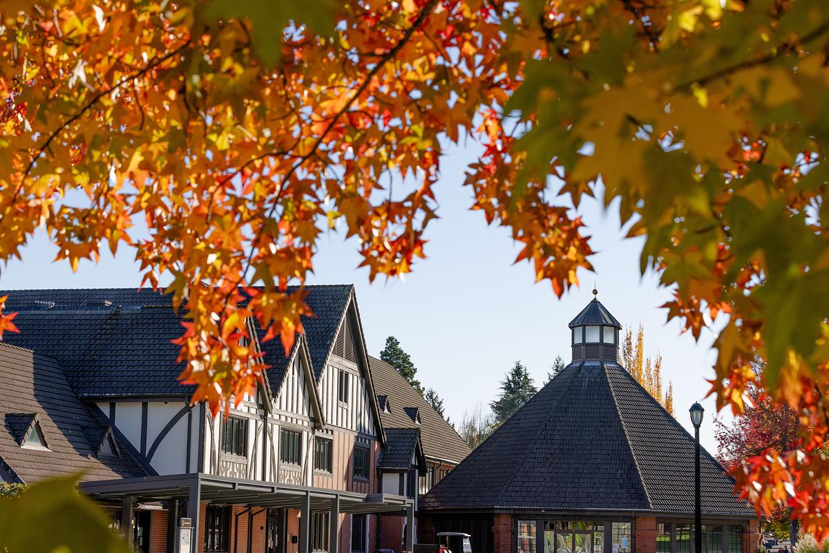 red leaves with Wheelock Student Center in the background.