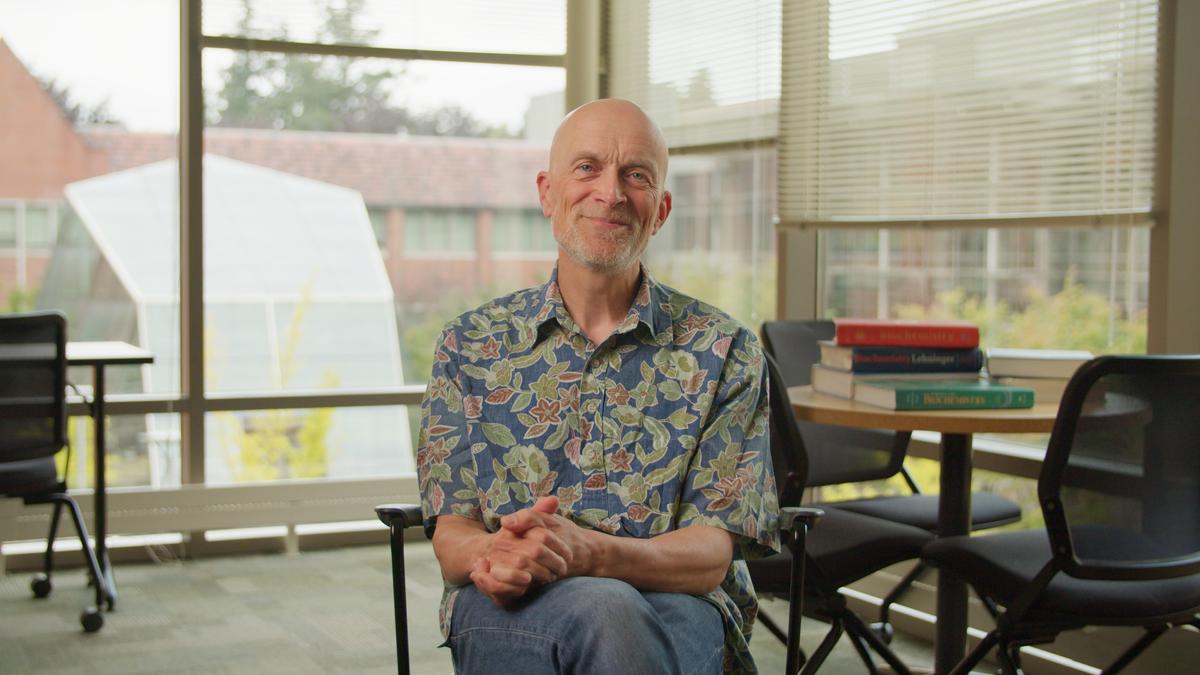 Professor Andreas Madlung