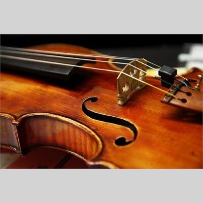 Violin_med.jpg