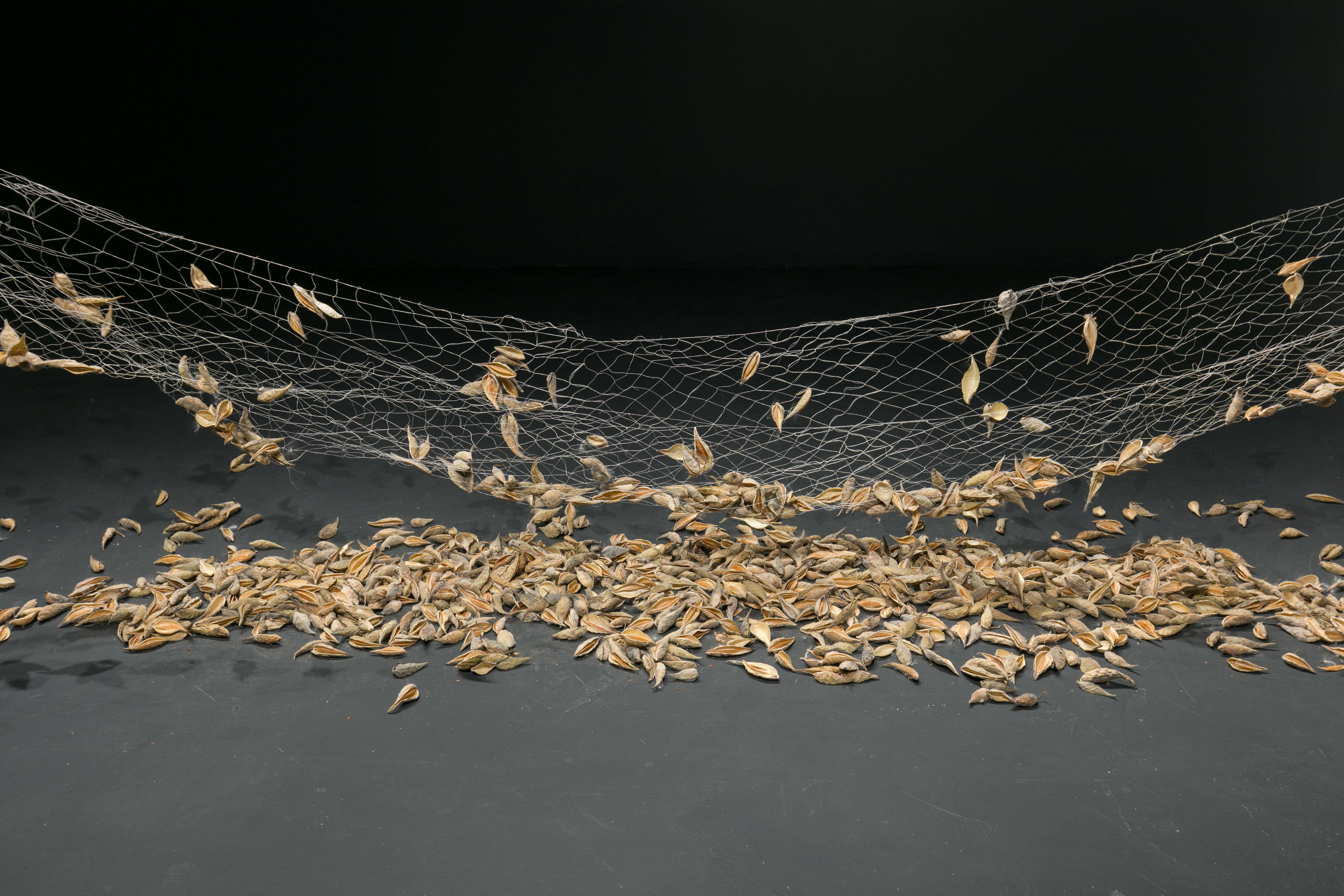 3_UPS_PR IMAGE_1_1.jpg