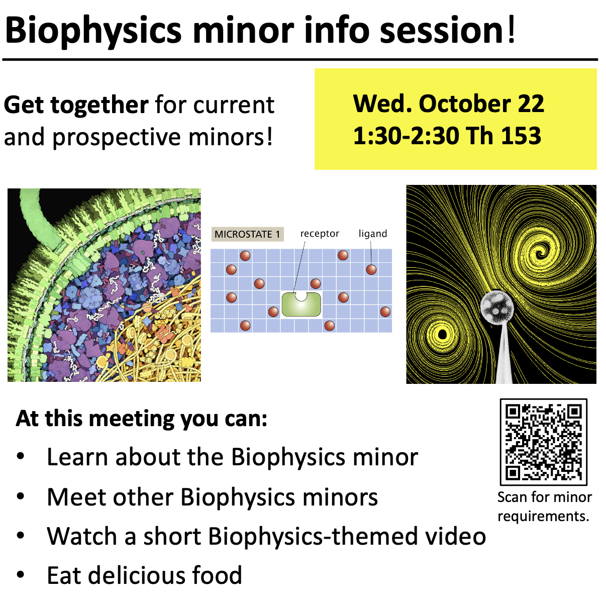 Biophysics Minor Flyer fall 2025_0.png