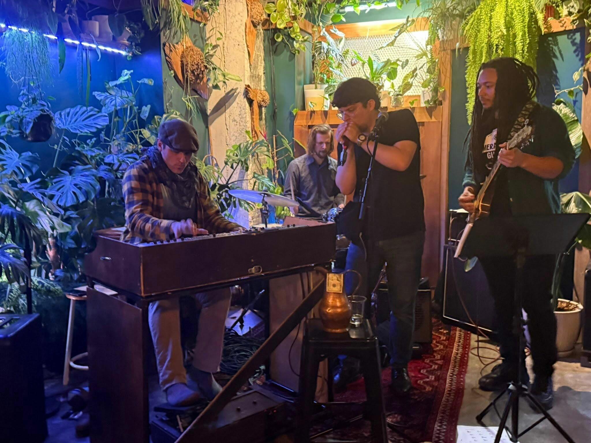 The Green Onions.jpeg