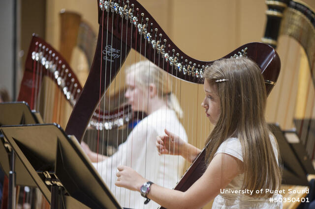 harpist profile (1).jpg