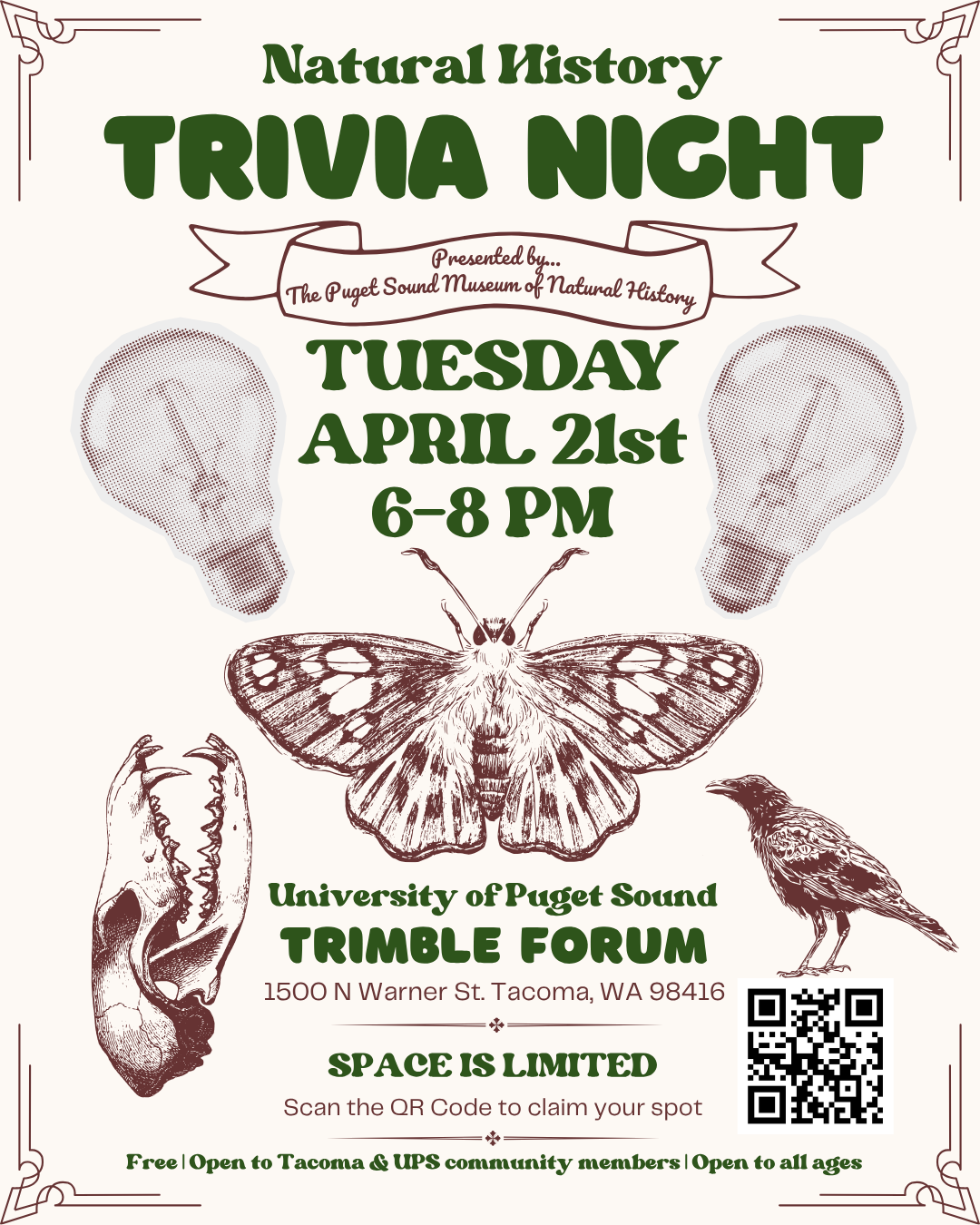 Trivia Instagram Post (1).png