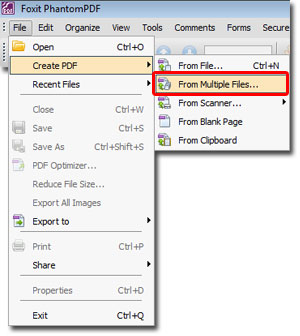 how to remove type in pdf file using foxit editor