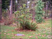 CRobbinsJSlaterSmall.jpg CRobbinsJSlaterSmall.jpg