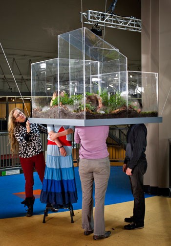 People observing an interactive artwork