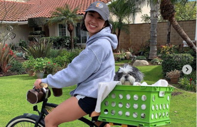 A person on a bicycle with a dog in the basket.