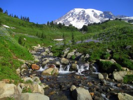 Snowy mountain with stream in foreground