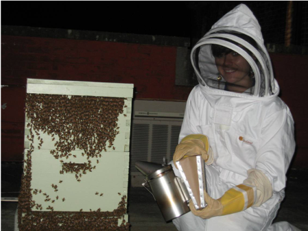 student-with-hive_sue.png Our lab studies both honeybees (Apis mellifera) and the west