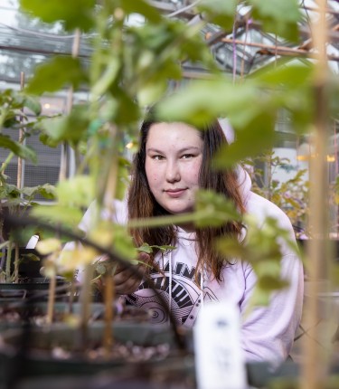 thumb-20190627_sb_tomato-research_003.jpg