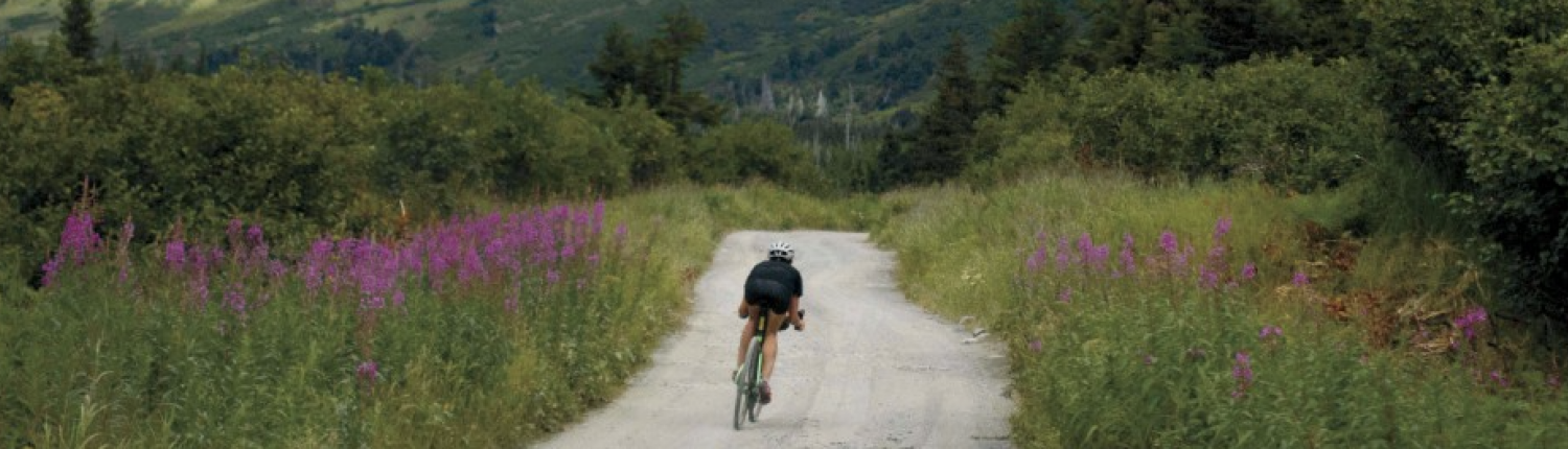 Person riding a bike on beautiful mountain path surrounded by wildflowers