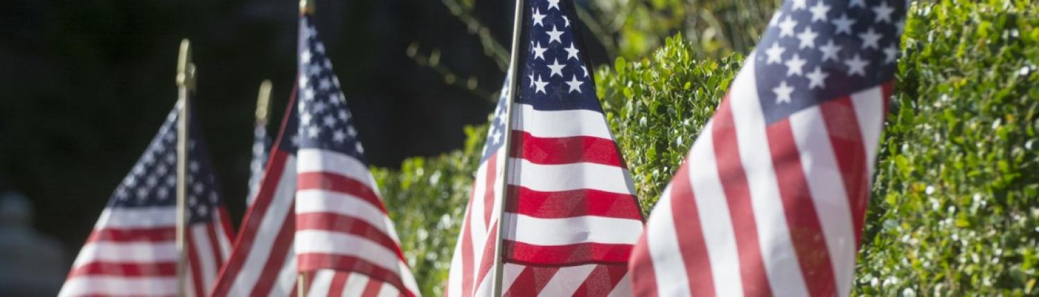 Close up of a row of American flags