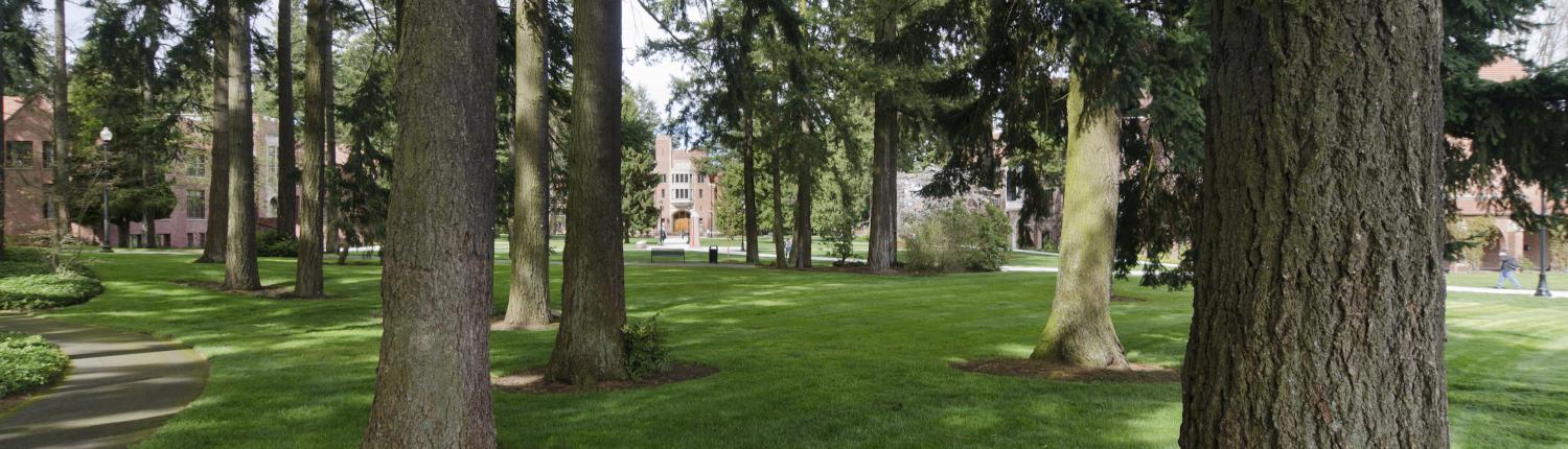 Green grass and trees in front of campus buildings