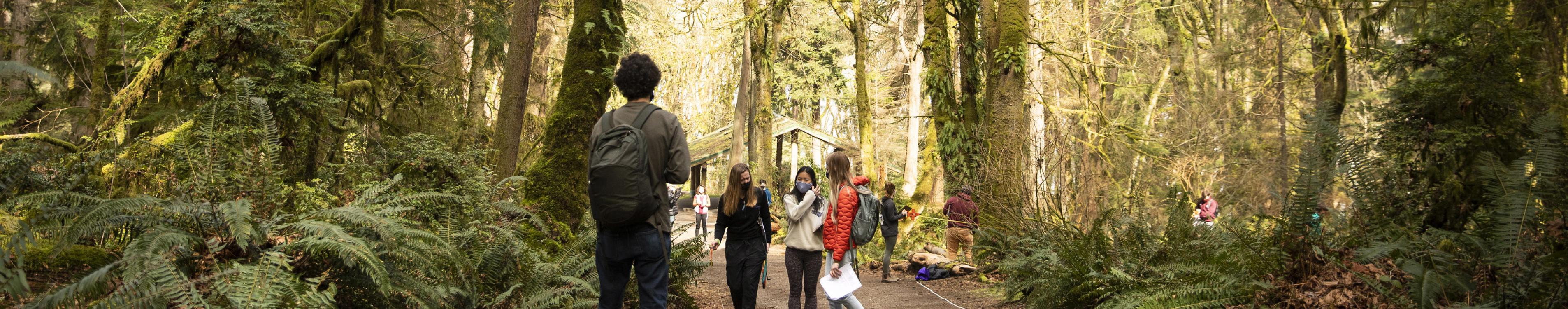 Students walking in Point Defiance Woods