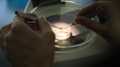 spotlight on a petri dish
