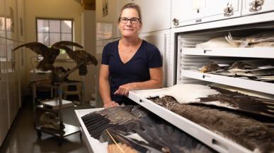 Kena Fox-Dobbs, director of the Puget Sound Museum of Natural History, poses with bird wing specimens.