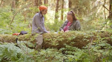 Ellie Olpin ’24 and Reisha Foertsch ’25 collect seedling samples from nurse logs in the Hoh Rainforest in Washington’s Olympic National Park.