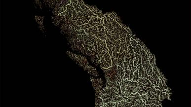 Satellite map of the Cascadia Rivers