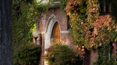 Ivy on brick in the fall.