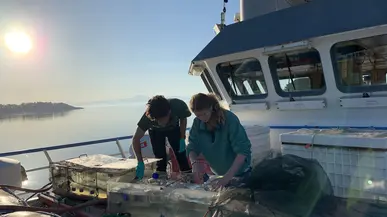 Students aboard the research vessel Rachel Carson